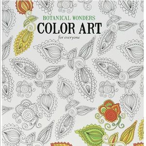 Adult coloring book 24 pages of no stress